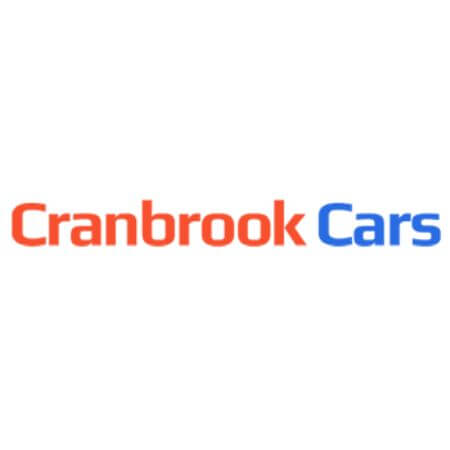Engine Decontamination Treatments Cranbrook