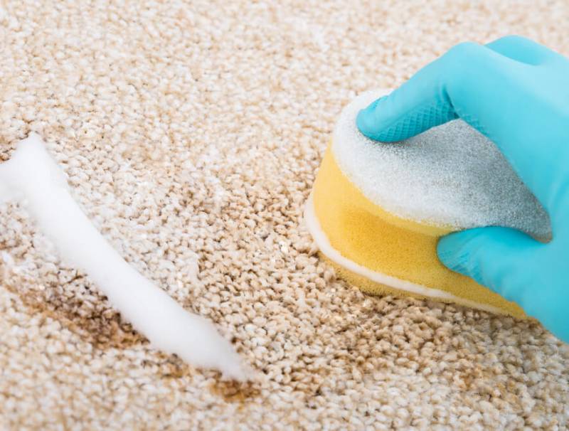 How To Get Slime Out of Carpet?